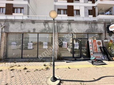 İşyeri-Dükkan & Mağaza