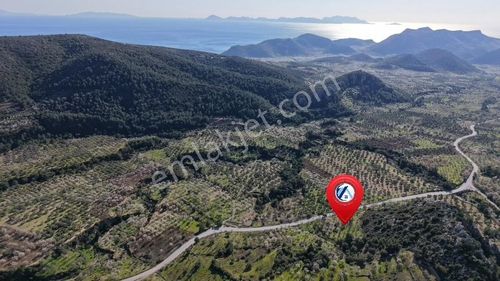 Datça, Sındı Mahallesinde Ana Yola Sıfır 2740 M².lik Arazi