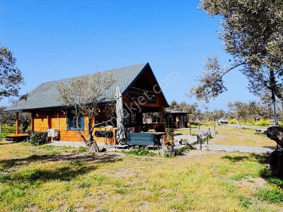 Mirya Gayrimenkul Den Satılık