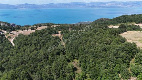 Realty Nexus' Dan İznik Mustafalı' Tarla