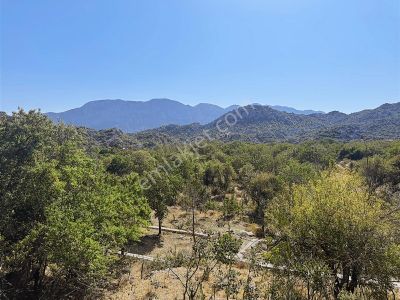 Antalya İbradı Aşağı Mahalle Satılık Arsa