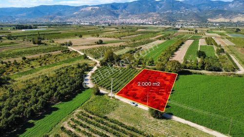 Pamukova Cihadiye'de 2003m2 Resmi Yollu Fırsat