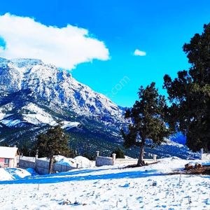 Kar Emlaktan Yenikonacık Kırıntı Mevkiinde 600 M2 İmarlı İfrazlı Ticari Satılık Arsa