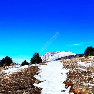 Kar Emlaktan Aşçıbekirli Fenese Mevkiinde 400 M2 İmarlı İfrazlı Satılık Arsa