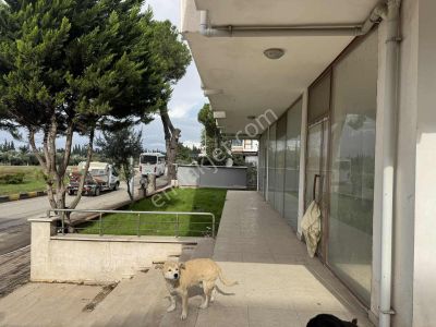 İşyeri-Dükkan & Mağaza