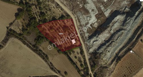 Arsa-Konut İmarlı