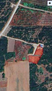 Mudanya Balabancık'da Doğanın İçinde Yaşam Sunan Satılık Tarla