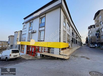 İşyeri-Dükkan & Mağaza