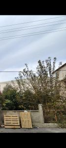 Altınova Orta Mahalle Molof Antalya Arkasında Satılık Arsa