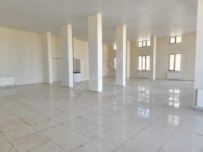 İşyeri-Dükkan & Mağaza