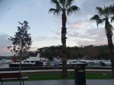 İşyeri-Apartman Dairesi