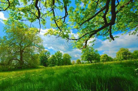 Uşak Banaz Düzkışla'da 1.057 M2 Çok Uygun Yatırımlık Tarla. Açıklamayı Okuyunuz.