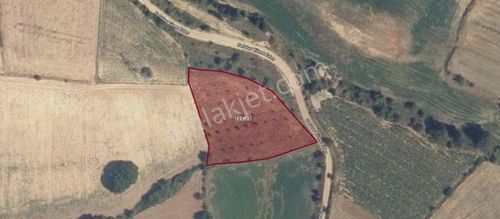 -bizim Emlaktan Merkez Akdoğan Köyünde 2857 M2 Tarla