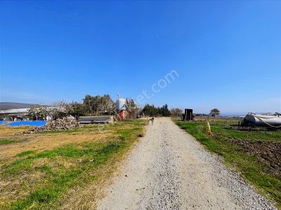 Adapazarı Karadere'de Resmi Yollu Fırsat