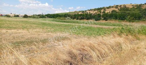 Sancak'tan Fırsat Satılık Tarla