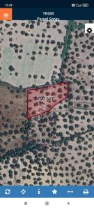 Ayvalık Gazikemalpaşa'da 3. 456 M2 Satılık Zeytinlik