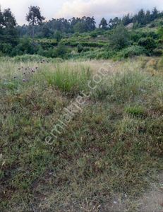 Mersin'in En Gözde Yaylası Kepirlide Yatırımlık 367 M2 Arsa