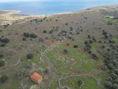 İmroz Emlak'tan Güzelcekoy'da 4.200 M2 Deniz Manzaralı Tarla