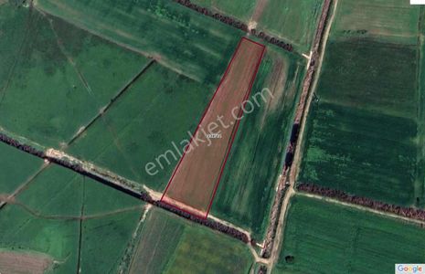 Ayvacık Gülpınarda 8900 Metrekare Kadastral Yolu Olan Tarla