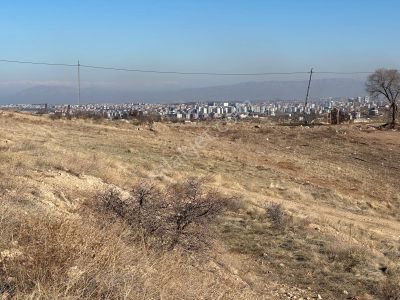 Coldwell Banker Safir'den Mullakasım Da 937 M2 Satılık Arsa