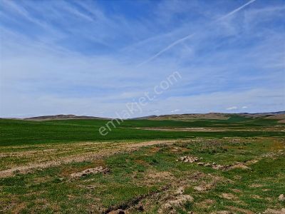 Gölbaşı Mahmatlı İmar Sınırında Satılık Tarla