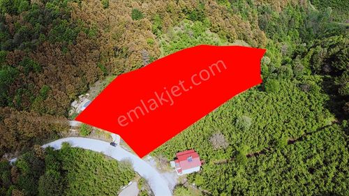 Ruşen Aydın Gayrimenkul'den Kaynaşlı'da Satılık Fındık Bahçesi