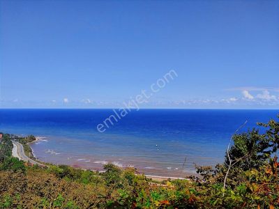 İzyap'tan Muhteşem Konumda Deniz Manzaralı Fındık Bahçesi