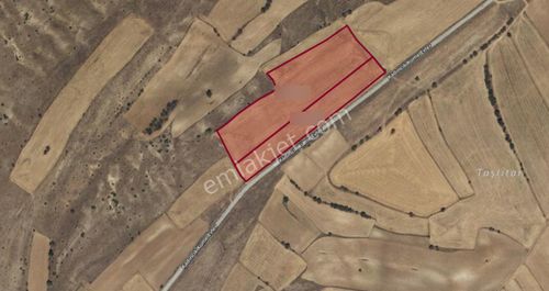 🌾 Sivrihisar Kadıncık Mahallesinde Ana Yol Üzeri Satılık 30 Dönüm Tarla