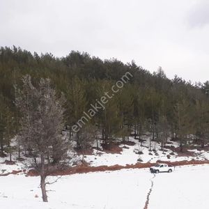 Kar Emlaktan Yeni Konacık Bozkırlı Mevkiinde 400 M2 Satılık Arsa