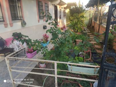 Serdivan Beşköprüde Bahçeli Bakımlı Kiralık Daire