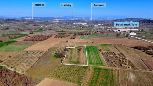 Tercih Edilen Talep Gören Bölgede Yatırımlık Arazi