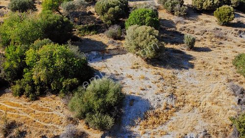 Takasa Açık, Müstakil Tapu Yatırımlık Yeri Hazırlanmış Arsa!