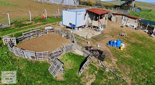 Marmaraereğlisi Çeşmeli'de İmara Yakın Satılık Meyve Bahçesi