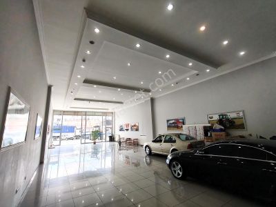 İşyeri-Dükkan & Mağaza