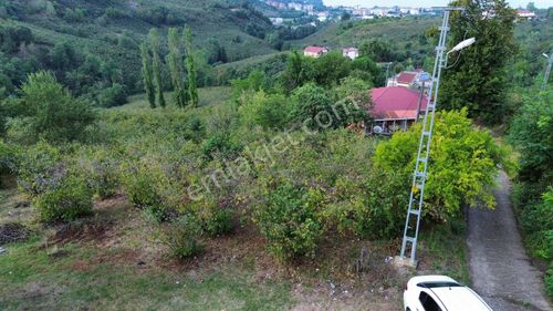 Ulu'dan Ordu Perşembe Efirlide Deniz Manzaralı Satılık Bahçe