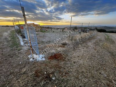 Edirne Büyükdöllük Köyü Satılık Bahçelik Araç Takaslı