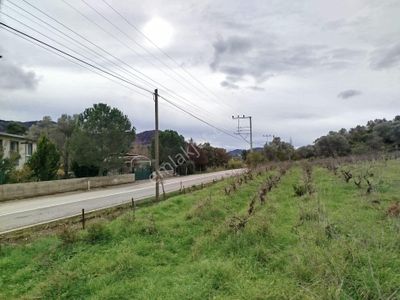 Seferihisar Orhanlı Merkezde Ana Yola Sıfır Tarla