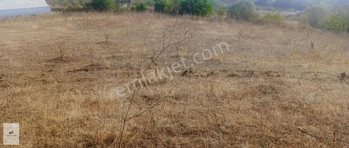 Bursa İnegöl Doğanyurdu Konum Ve Lokasyonu Mükemmel Bahçe