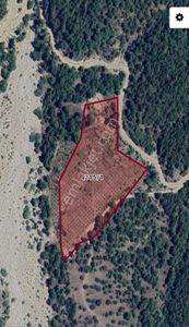 Kaş Ortabağ'da 24.560 M² Doğa Manzaralı Yatırımlık Fırsat! Ana Yola Yakın Satılık Arsa