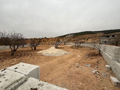 Şehitkamil Bilek Köyü’nde 2859 Metre Etrafı Duvarla Çevrili Bağ Evlik Güzel Konumda Satılık Arazi