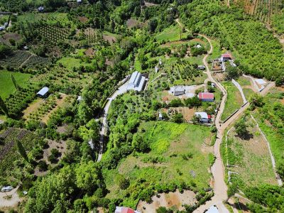 Kestel Aksu Köyü'nde İmara Sınır Yatırımlık Tarla!