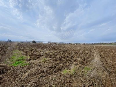 Kristal K2 Pera Bursa Balabancık 3676 M2 Tek Tapu Yatırımlık