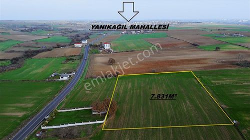 Ergene Velimeşe Mahallesi 7.831m² İmar Sınırında Satılık Tarla
