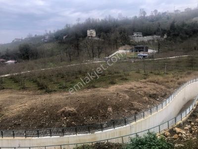 Trabzon Uğurlu Satılık Villalık 3.700 M2 Arazi