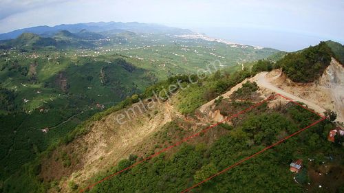 Gökdemir Gayrimenkulden Satılık Fındık Bahcesi