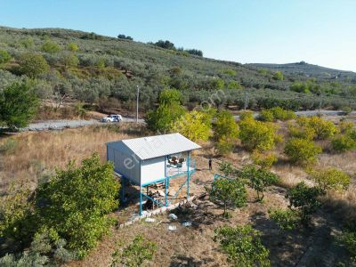 Mudanya Dereköy'de Doğayla İç İçe Bağ Evi Ve Meyve Bahçesi