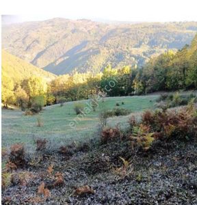 Erbaa Cibril Köyünde Satılık Tarla