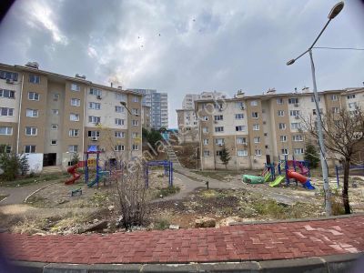 Merkezi Konumda Kiralık 1+1 Daire Ada Emlaktan