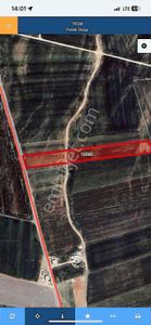 Kızıltepe Beşdeğirmen Gırmelheba Satılık 18.1 Dönüm Tarla