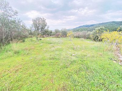 🌀 Gültaş Emlaktan Kadıköy’de Satılık 365 M² İmara Yakın Zeytinlik